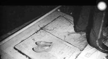 屈原为什么跳河自尽，古人投河自尽，为什么要在跳河之前，把鞋子脱下来呢？图2