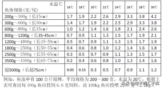 怎样饲养锦鲤的方法(不同季节如何饲养锦鲤)(3)