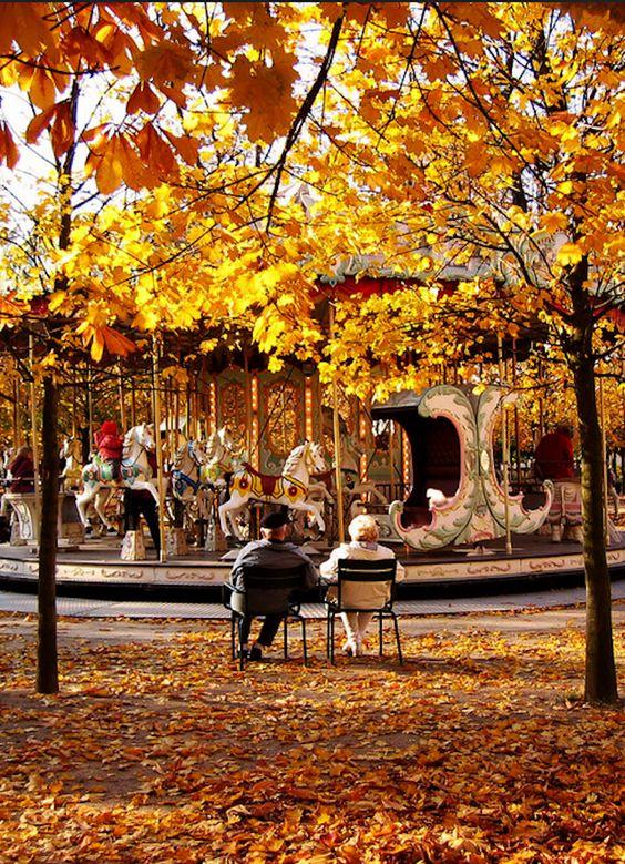 旋转木马里有什么（有这么一个浪漫的传说）(23)