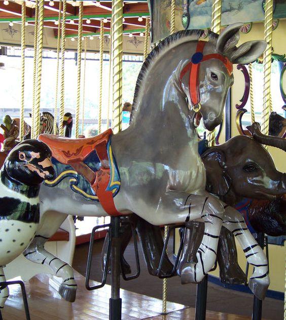 旋转木马里有什么（有这么一个浪漫的传说）(5)