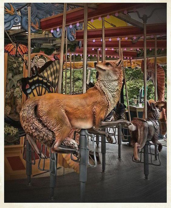 旋转木马里有什么（有这么一个浪漫的传说）(15)