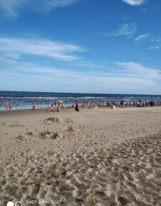 ​四大天王是哪四个明星(明星4大天王)