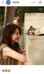 ​高圆圆蹲路边逗野猫 皮肤白皙五官超精致