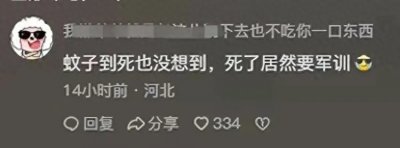 ​笑不活了！男子半夜电杀200只蚊子！网友支招笑翻全场？