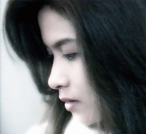 邵美琪 郑伊健的关系