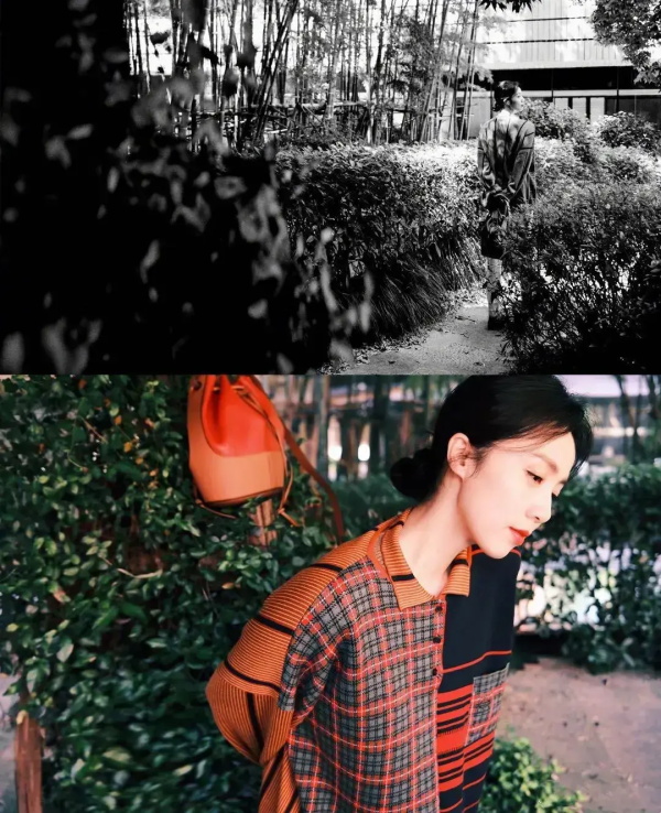 孙莉穿驼色格纹毛衣高级感爆棚的写真合集