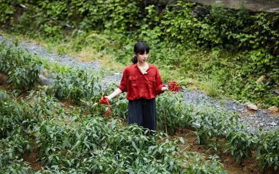 孙莉穿驼色格纹毛衣高级感爆棚的写真合集