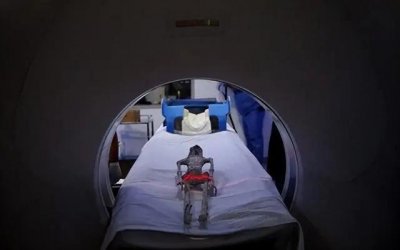 ​不是人造的？墨西哥“外星人干尸”有新进展