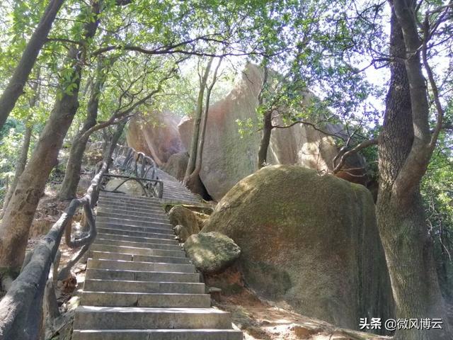 深圳凤凰山森林公园适合爬山吗（深圳免费自由行--深圳凤凰山森林公园旅游攻略）(15)