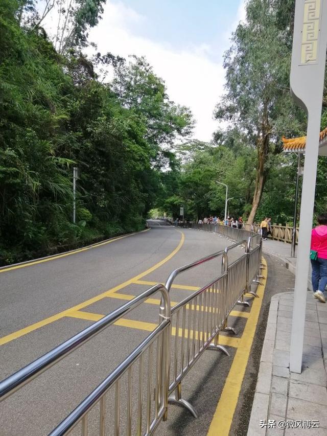 深圳凤凰山森林公园适合爬山吗（深圳免费自由行--深圳凤凰山森林公园旅游攻略）(10)