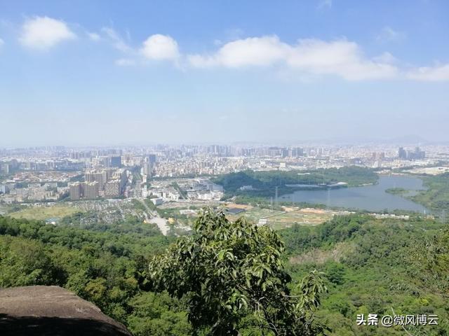 深圳凤凰山森林公园适合爬山吗（深圳免费自由行--深圳凤凰山森林公园旅游攻略）(16)