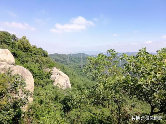 深圳凤凰山森林公园适合爬山吗（深圳免费自由行--深圳凤凰山森林公园旅游攻略）(17)