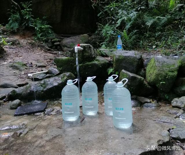深圳凤凰山森林公园适合爬山吗（深圳免费自由行--深圳凤凰山森林公园旅游攻略）(22)