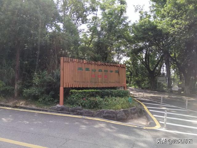 深圳凤凰山森林公园适合爬山吗（深圳免费自由行--深圳凤凰山森林公园旅游攻略）(11)