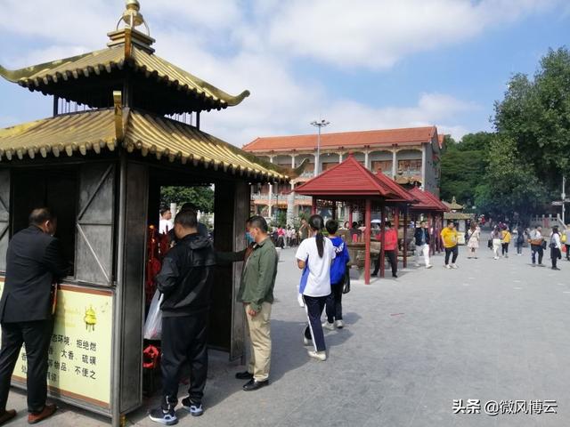 深圳凤凰山森林公园适合爬山吗（深圳免费自由行--深圳凤凰山森林公园旅游攻略）(20)