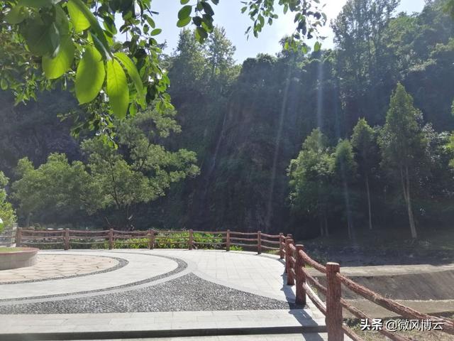 深圳凤凰山森林公园适合爬山吗（深圳免费自由行--深圳凤凰山森林公园旅游攻略）(13)