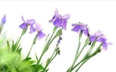 ​什么样的婚姻必须放弃放弃婚姻(什么情况下选择离婚最明智)