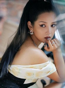 ​释小龙何洁：姐弟恋背后的真相到底是什么？