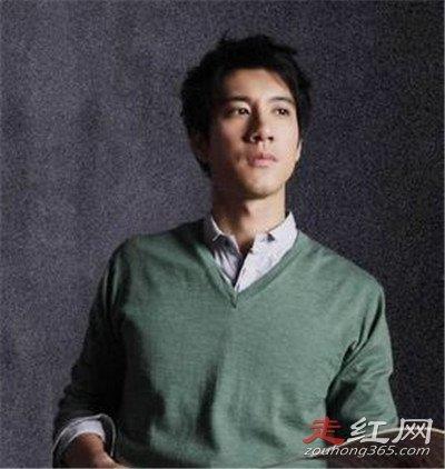 王力宏出什么事了 现在怎么不火了