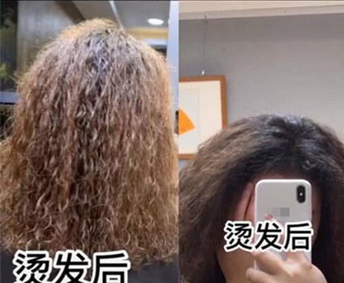 明星的泡面烫好看?看这张效果图反悔了:只怪自己颜值低