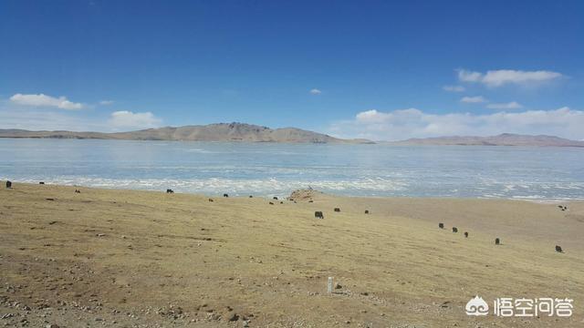 想去西藏，哈佛H5进藏怎么样，大家给些建议？-图6