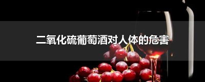 ​二氧化硫葡萄酒对人体的危害