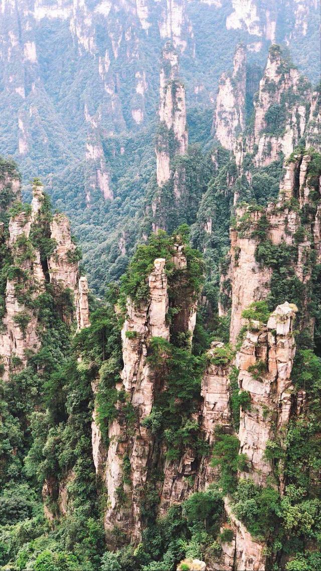 阿凡达取景地张家界大峡谷(因阿凡达被世界所知)(7)