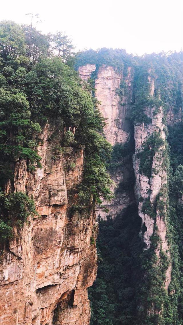 阿凡达取景地张家界大峡谷(因阿凡达被世界所知)(2)