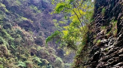 ​受不了了！中国男人娶了蒙古国女人之后为啥都这样说？