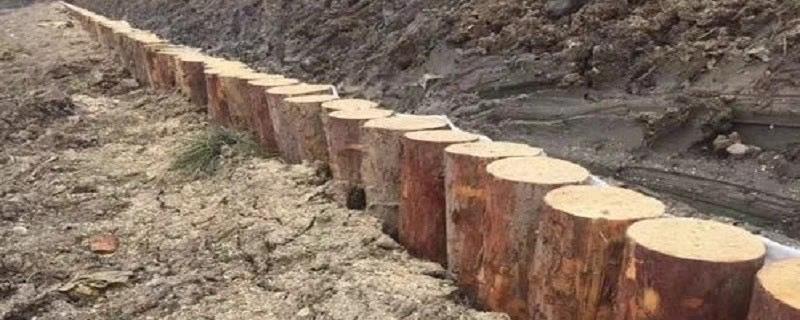 生活松木桩施工方法 1