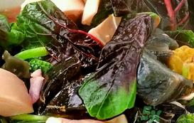 苋菜可以和牛肉一起吃吗?苋菜能和牛肉同吃吗? 苋菜可以和牛肉一起吃吗?苋菜能和牛肉同吃吗?