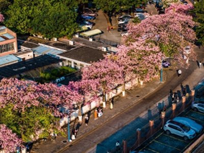 ​解读211师范类型院校——华南师范大学！
