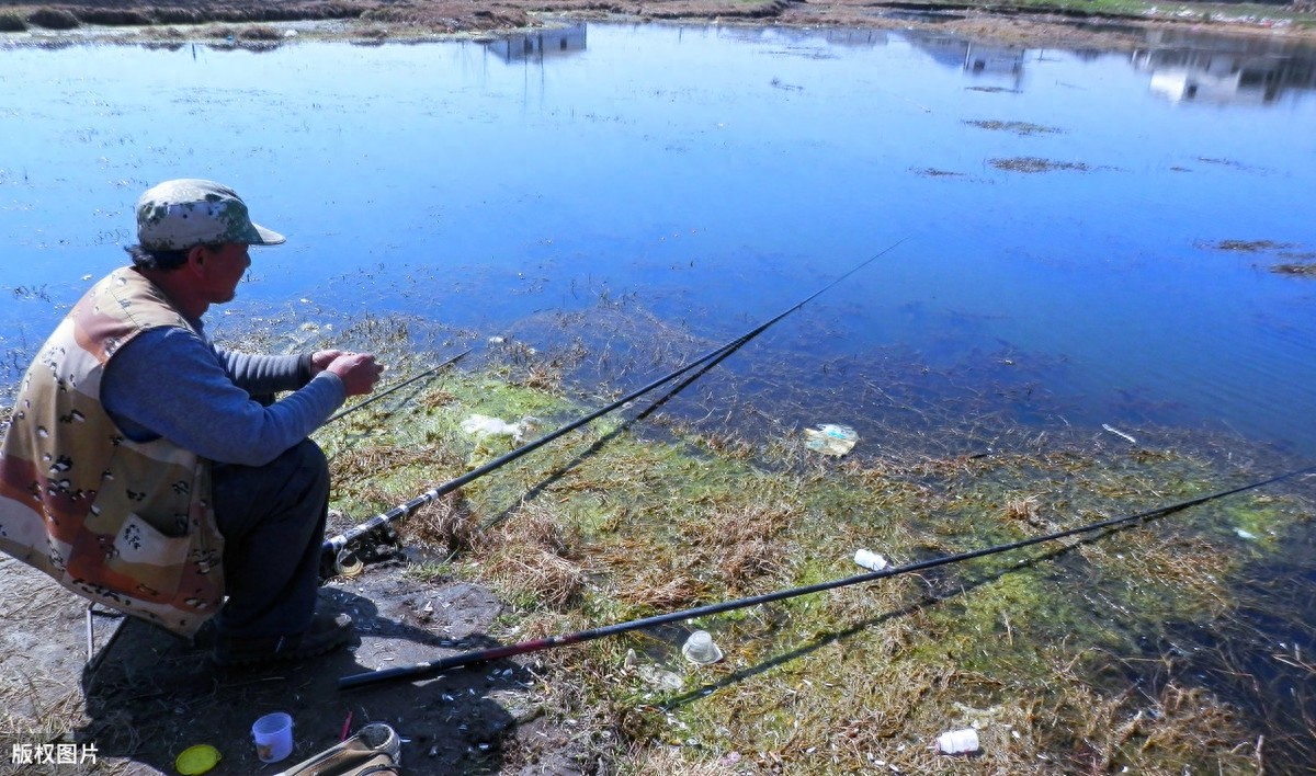 钓鱼图片大全