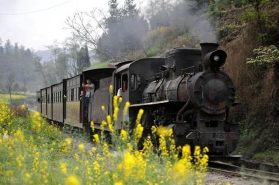 ​为什么中国不宣传王阳明（为何阳明心学不被重视）