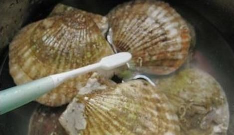 扇贝怎么清洗内脏视频,扇贝肉怎么清洗图解图4