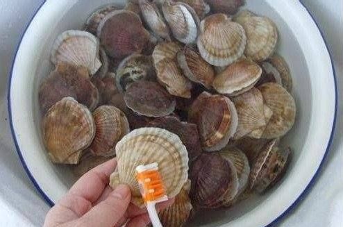 扇贝怎么清洗内脏视频,扇贝肉怎么清洗图解图5