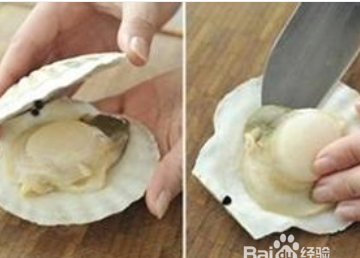 扇贝肉怎么清洗图解