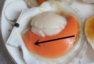 扇贝怎么清洗内脏视频,扇贝肉怎么清洗图解图7