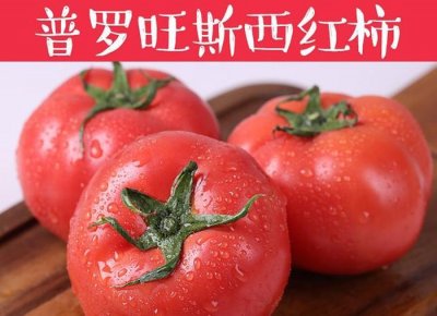 ​揭秘普罗旺斯西红柿为什么卖的这么火
