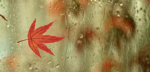 一个人独处总是想吃东西怎么回事