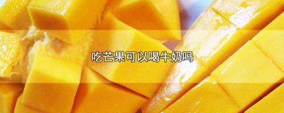 ​吃芒果可以喝牛奶吗