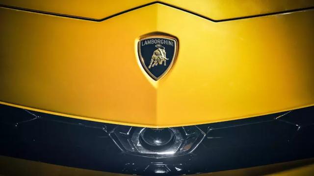 兰博基尼陆地最快suv（只有SUV会考虑混动）(12)