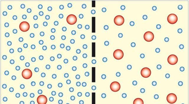 海水鱼放在淡水中会怎样，把海水鱼扔到淡水里，结果会怎样呢？图3