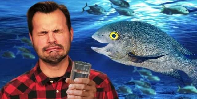 海水鱼放在淡水中会怎样，把海水鱼扔到淡水里，结果会怎样呢？图4