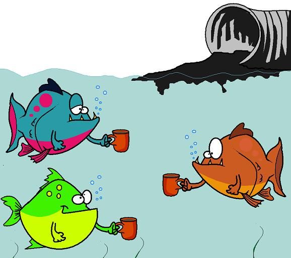 海水鱼放在淡水中会怎样，把海水鱼扔到淡水里，结果会怎样呢？图6