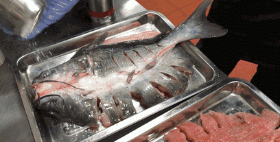 海水鱼放在淡水中会怎样，把海水鱼扔到淡水里，结果会怎样呢？图1