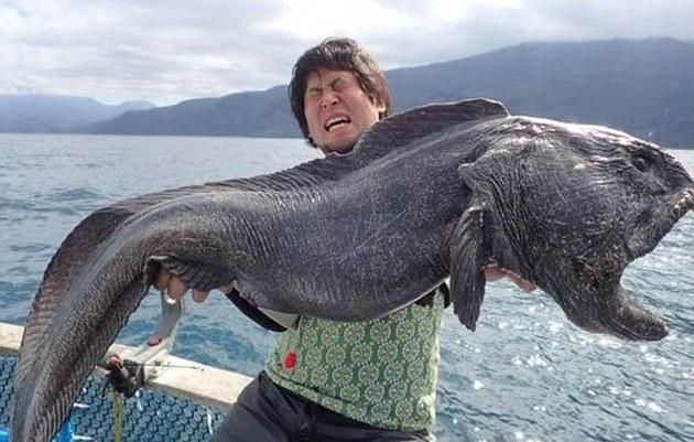 海水鱼放在淡水中会怎样，把海水鱼扔到淡水里，结果会怎样呢？图5