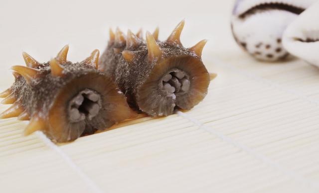 吃海参的功效与作用（海参的十大治病功效）(5)