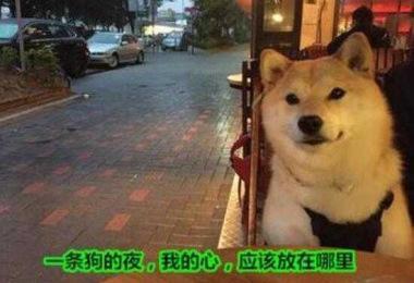 邓紫棋ins上甜蜜告白男友 网友直呼：还让不让单身狗活了