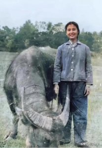 ​老照片：70年代女知青真漂亮，笑容灿烂，火红年代素颜堪比明星